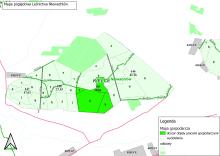 Informacja o prowadzonych pracach gospodarczych w Leśnictwie Niewachlów w wydzieleniu leśnym 145d,f,c,h