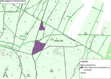 Informacja o prowadzonych pracach gospodarczych w Leśnictwie Dyminy w wydzieleniu leśnym 5d, 5f, 5g